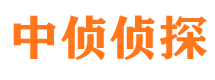 阜城外遇调查取证